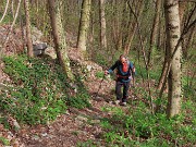 In Canto Alto (1146 m) da Ripa-Zogno ad anello fiorito il 10 aprile 2025 - FOTOGALLERY